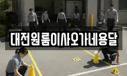 대전원룸이사오가네용달