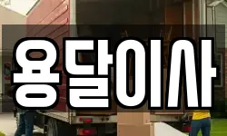 용달이사