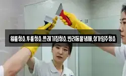 원룸청소.투룸청소.쓰레기집청소.반려동물냄새,상가입주청소