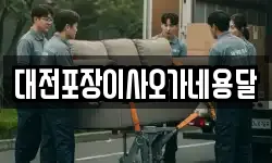 대전포장이사오가네용달