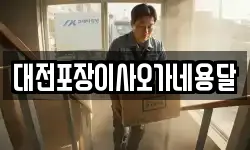 대전포장이사오가네용달