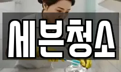 세븐청소