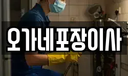 오가네포장이사