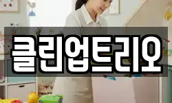클린업트리오