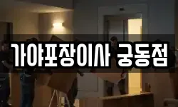 가야포장이사 궁동점