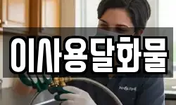 이사용달화물