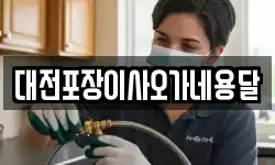대전포장이사오가네용달