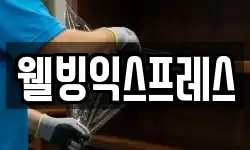 웰빙익스프레스