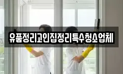 유품정리고인집정리특수청소업체