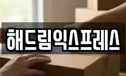 해드림익스프레스