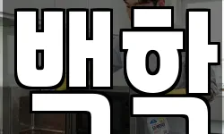 백학