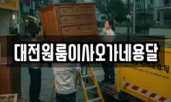 대전원룸이사오가네용달