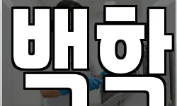 백학