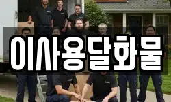 이사용달화물