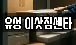 유성 이삿짐센타