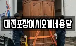 대전포장이사오가네용달