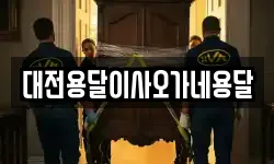 대전용달이사오가네용달
