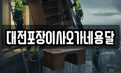 대전포장이사오가네용달