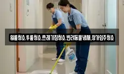원룸청소.투룸청소.쓰레기집청소.반려동물냄새,상가입주청소