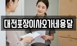 대전포장이사오가네용달