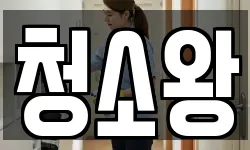 청소왕