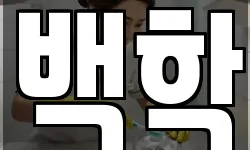 백학