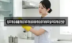 입주청소원룸청소거주청소이사청소상가사무실식당청소전문