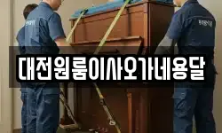 대전원룸이사오가네용달