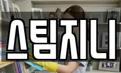 스팀지니