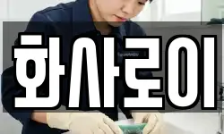 화사로이