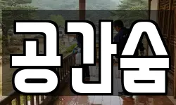 공간숨