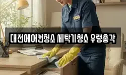대전에어컨청소 세탁기청소 우렁총각