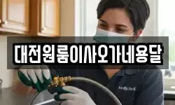 대전원룸이사오가네용달