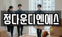 정다운디엔에스
