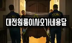 대전원룸이사오가네용달