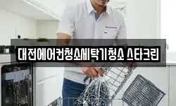 대전에어컨청소세탁기청소 스타크린