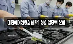 대전에어컨청소 세탁기청소 일당백 본사