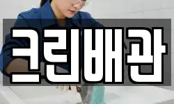 대전광역시 유성구 죽동 청소,입주청소,사무실청소,에어컨청소