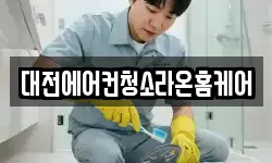 대전에어컨청소라온홈케어