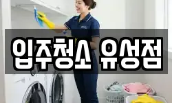 입주청소 유성점