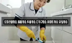 오피스텔청소.원룸청소.투룸청소.다가구청소.아파트청소.당일청소