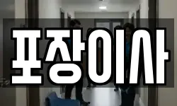 포장이사