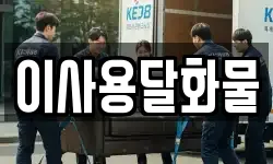 이사용달화물