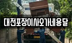 대전포장이사오가네용달