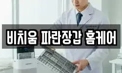 비치움 파란장갑 홈케어