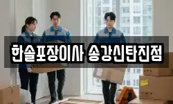 한솔포장이사 송강신탄진점