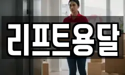 리프트용달