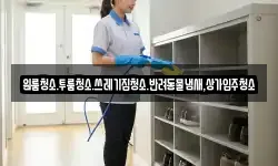 원룸청소.투룸청소.쓰레기집청소.반려동물냄새,상가입주청소