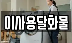 이사용달화물