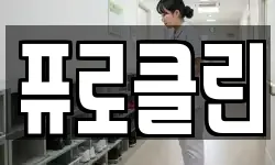 퓨로클린